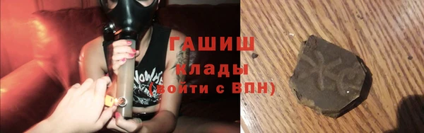 прущие грибы Алзамай