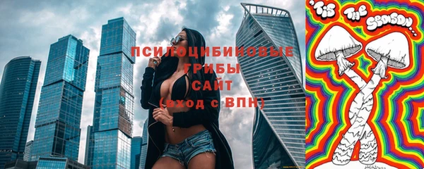 прущие грибы Алзамай